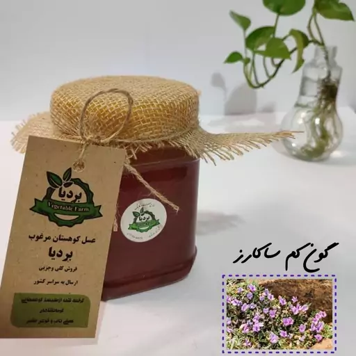 عسل گون کم ساکارز بردیا(درمانی ،طبیعی و با تغذیه محدود شهد)