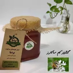 عسل گشنیز کم ساکارز بردیا(درمانی ،طبیعی و با تغذیه محدود شهد)