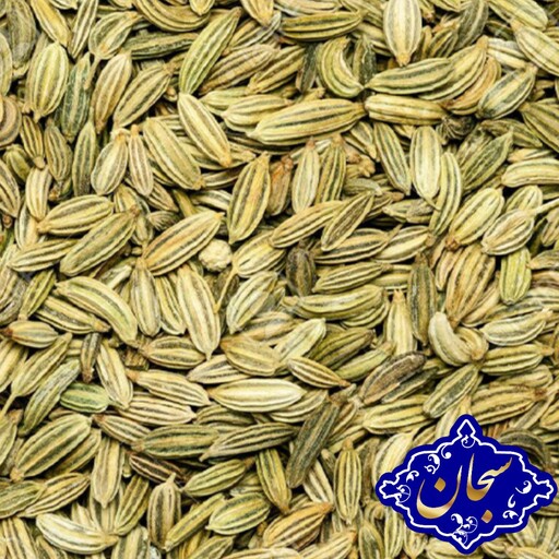 رازیانه 100گرمی سبحان بسیار تمیز و بار امسالی (بادیان)