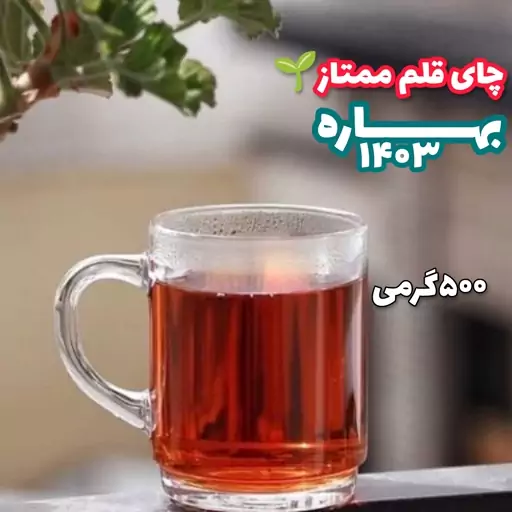 چای لاهیجان سیاه قلم سوزنی بدون ساقه تمام برگ 500 گرمی تولید تازه