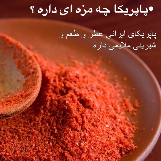 ادویه پودر پاپریکا دودی و ساده100 گرم