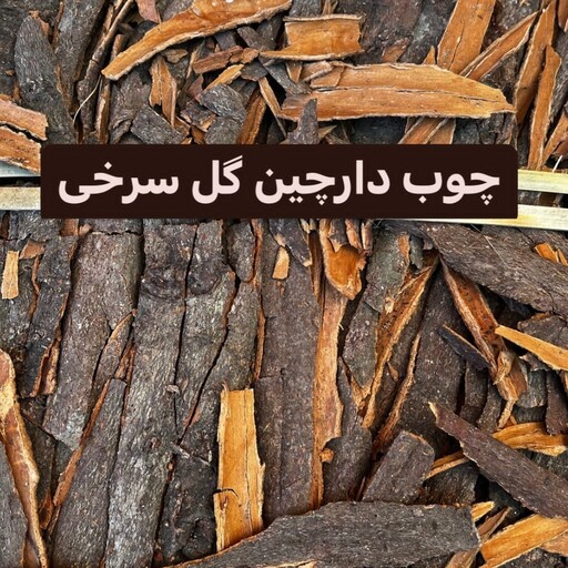 چوب دارچین 50 گرم