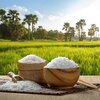 برنج‌ و محصولات ارگانیک سلامت