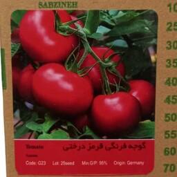 بذر گوجه قرمز درختی گلخانه ای پاکت 25 عددی درجه یک 