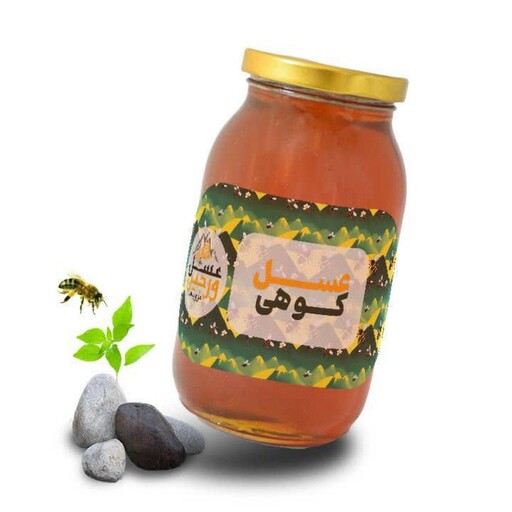 عسل کوهی طبیعی. ساکاروز صفر. 620 ت.  تهیه شده از شهد گل های دامنه البرز. همراه با برگه آزمایش