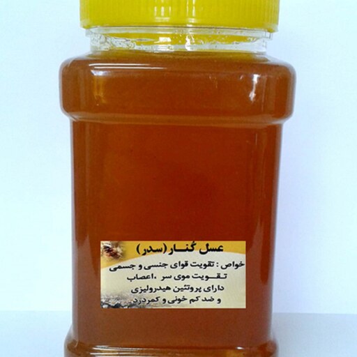 عسل کنار  1 کیلو صد درصد خالص و طبیعی درجه 1 
