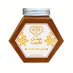 عسل طبیعی و دارویی کنار کنجد  یک کیلوگرم عسل طبیب با ظرف شیشه ای و بسته بندی عالی همراه با اشانتیون و هدیه