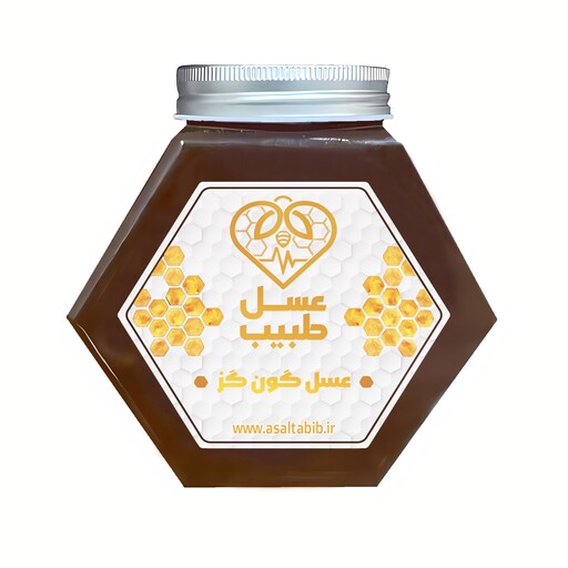 عسل طبیعی و دارویی گون گز  یک کیلوگرم عسل طبیب با ظرف شیشه ای و بسته بندی عالی همراه با اشانتیون و هدیه