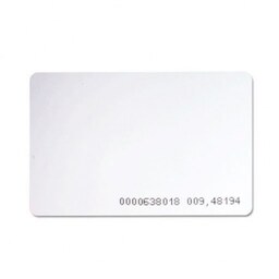 (4501)تگ RFID -TAG RFID کارتی 125KHZ