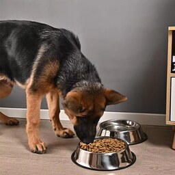 ظرف آب و غذای سگ استیل سایز 30