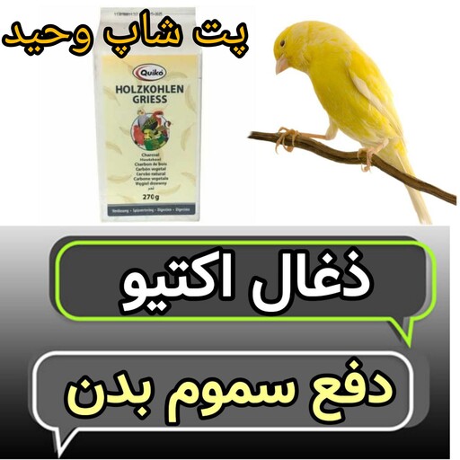 زغال اکتیو کویکو مخصوص پرندگان 20گرم