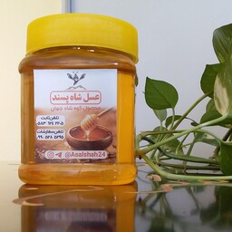 عسل طبیعی چندگیاه(تخفیف ویژه) نیم کیلویی
