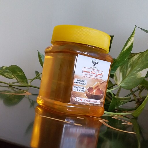 عسل  طبیعی و اصل( تخفیف ویژه) نیم کیلویی