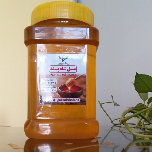 عسل طبیعی چندگیاه (تخفیف ویژه )یک کیلویی