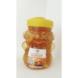 عسل طبیعی کوهستان مخصوص کودکان(تخفیف ویژه )یک کیلویی