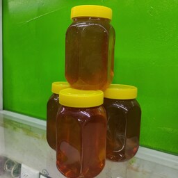 عسل درجه 1 (دو کیلویی)