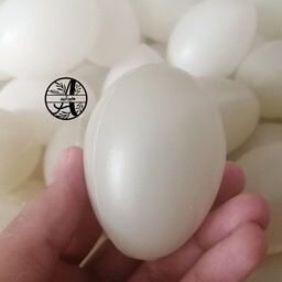 تخم مرغ پلاستیکی تزئینی مواد بازیافتی ( 1عددی) هایپر آذین 