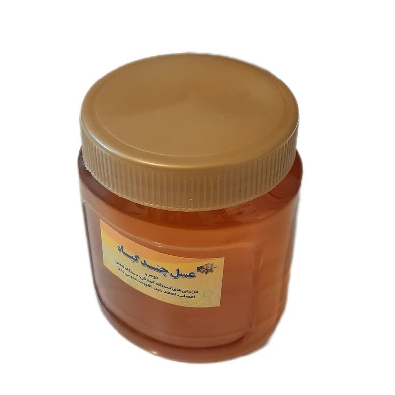 عسل طبیعی چهل گیاه - 500 گرم 