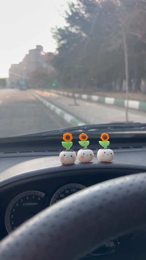 روداشبوردی گلدون دستساز شب تاب