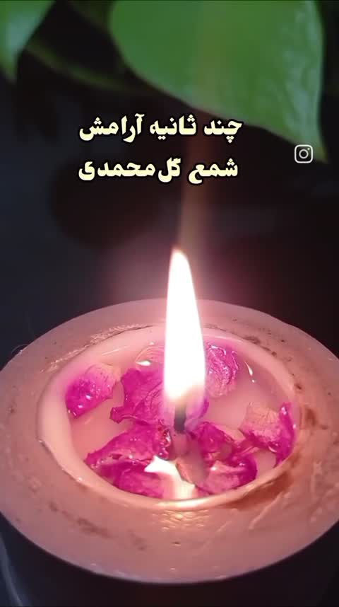 شمع عطری و گیاهی با رایحه گل محمدی