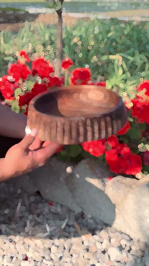 ظرف پذیرایی