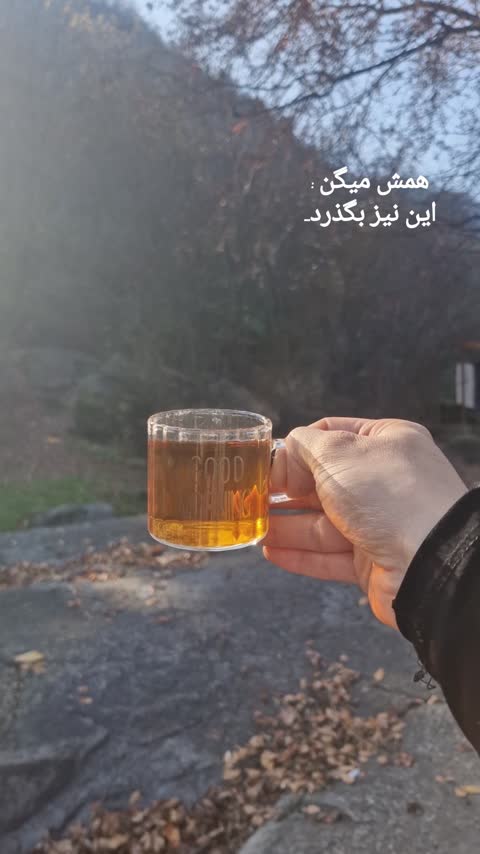 شات گودمورنینگ
