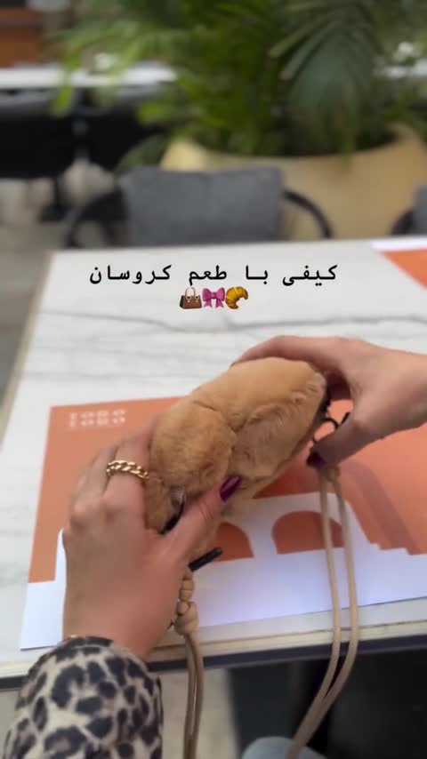 کیف کروسان