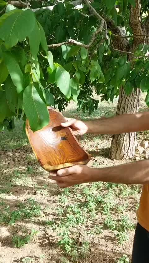 ظرف پذیرایی دست ساز از چوب درخت سنجد، ظرف چوبی، شکلات خوری چوبی،ظرف میوه چوبی،میوه خوری چوبی، ظرف چوبی شیک
