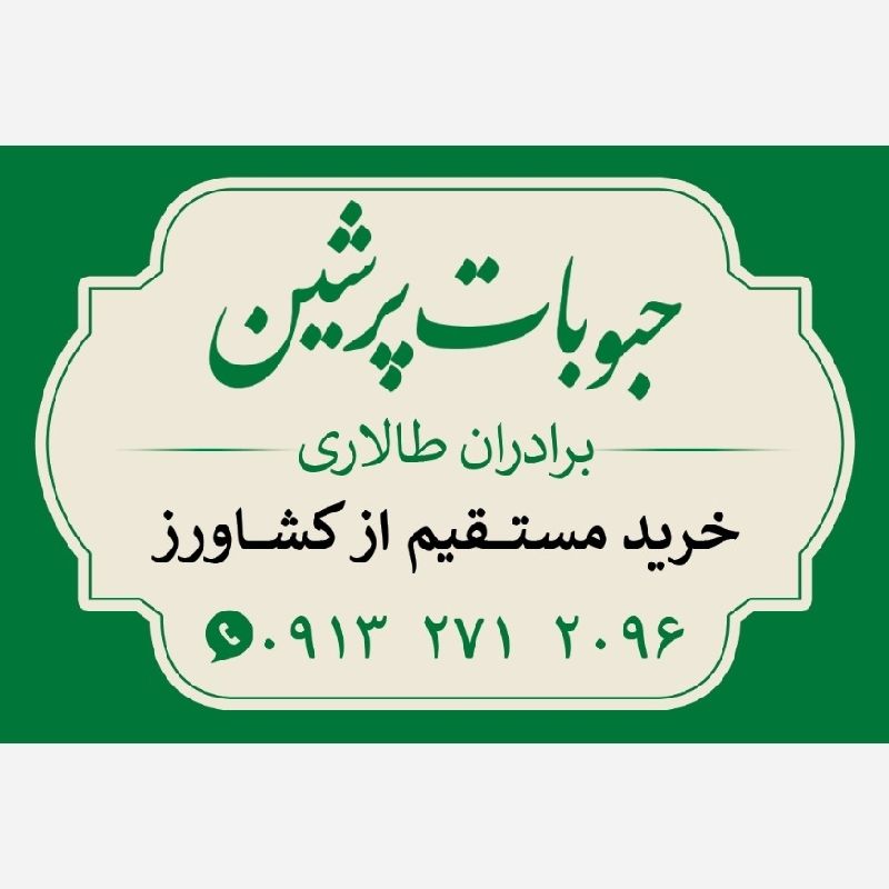 رضا ط