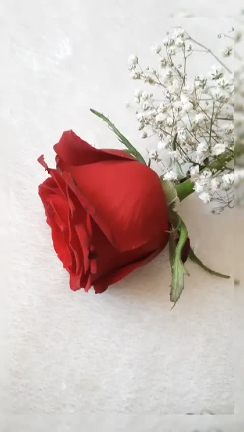 کیف دوشی مجلسی طرح سنگی