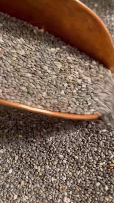  سویق(دانه) چیا 