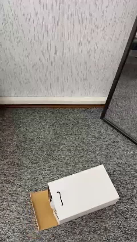کفش اسپرت مردانه نایک تراویس اسکات بلک فانتوم