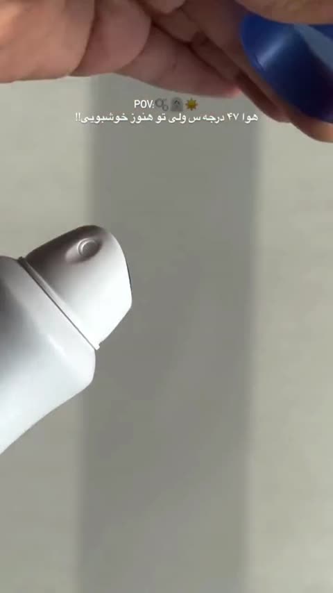 مام قارچی داو