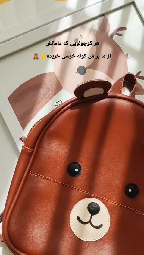 کیف دوشی خرسی