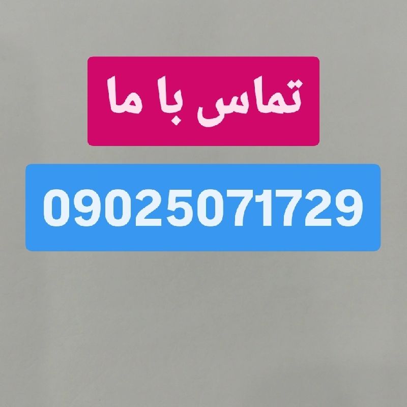 هانیه گودرزی