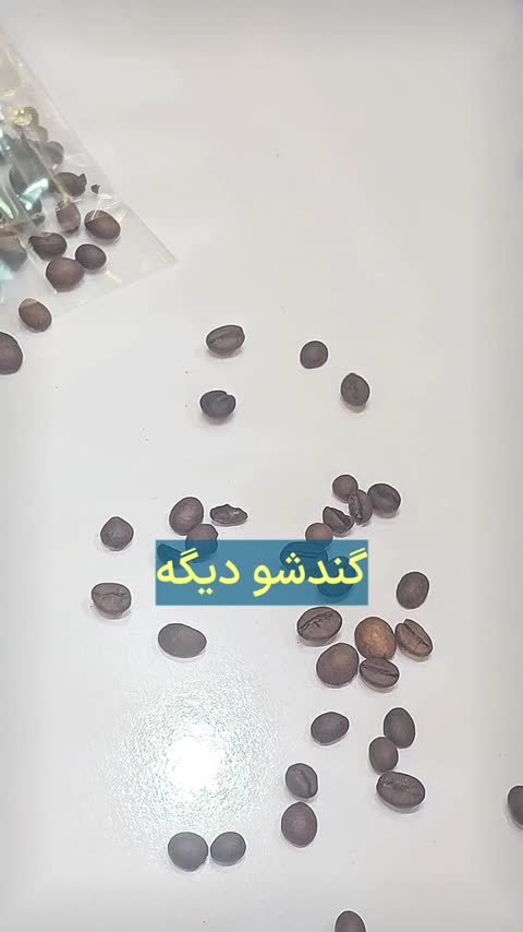 عطر مردانه و زنانه زرجوف زرجف الکساندریا 2 XERJOFF - Alexandria II برند لوزی گرید لوزی 