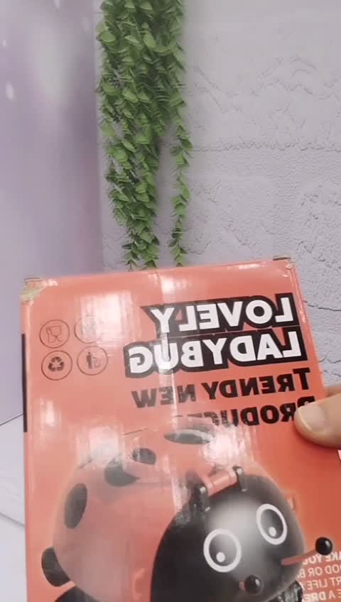 قمقمه فانتزی کودک طرح کفش دوزک 