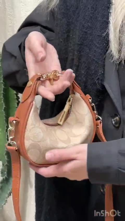 مینی بگ کوچ