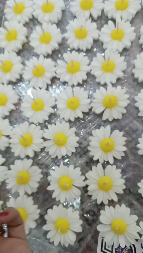 شمع بابونه شمع مارگاریت گیفت نیمه شعبان