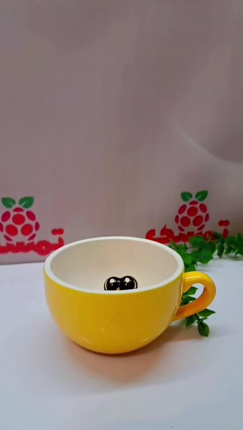 ماگ سوپرایز