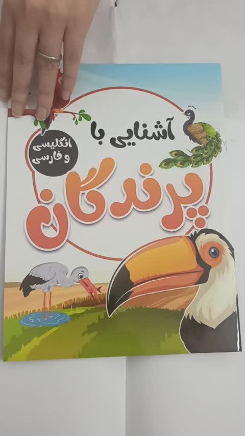 کتاب کودک آشنایی با پرندگان فارسی و انگلیسی 