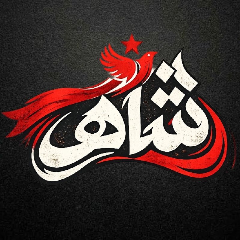مجموعه فرهنگی هنری شاهد 