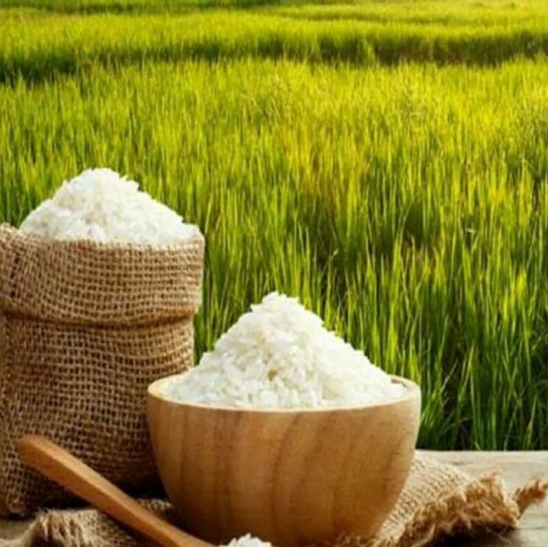 برنج فجر شمال 47000 تومان 10 کیلویی خوشمزه