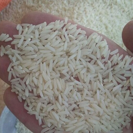 برنج هاشمی امساله 10 کیلویی معطر خوش طعم