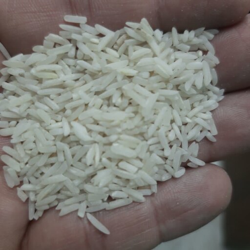 برنج لاشه معطر هاشمی 10 کیلویی اعلاء و مناسب