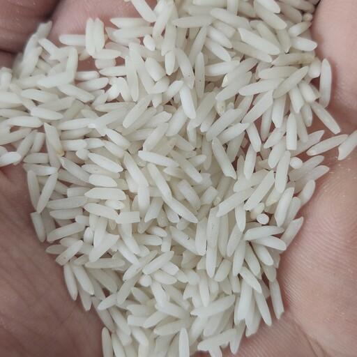 برنج شیرودی 10 کیلویی