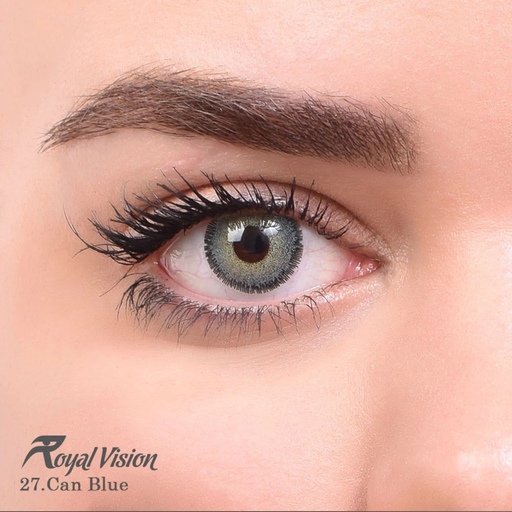 لنز چشم رویال ویژن فصلی شماره 27 مدل  سبز آبی دور دار 