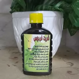 شربت فردوس ، خونساز و اشتها آور( با خرید هر 10 عدد 2 عدد رایگان دریافت کنید)