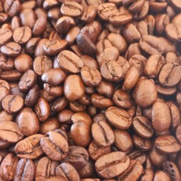 عربیکا نیکاراگوئه  مدیوم قهوه.ارسال رایگان