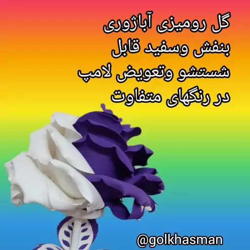 گل چراغدار شبخواب 